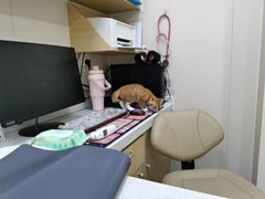 -芭比堂动物医院·CT·微创中心(新顺分院)