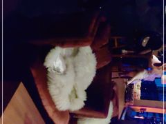 -广州柏悦酒店·悦吧·顶楼露天酒吧