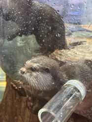 -Zoolung Zoolung动物主题公园(海信广场店)