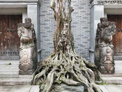 -龙潭水乡