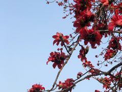 -云溪植物园