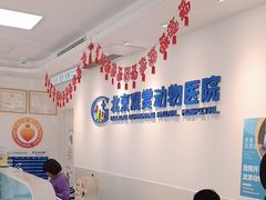 -北京观赏动物医院·24小时大型综合·猫专科·异宠专科