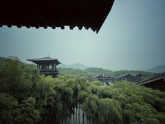 -大唐贡茶院