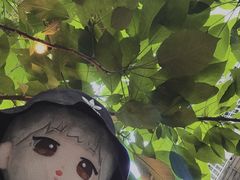 -懒鱼时光馆(沙坪坝店)