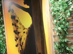 -雀舞云南菜(天津天河城购物中心店)