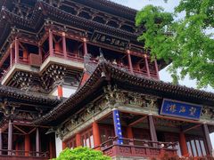 -溱湖国家湿地公园