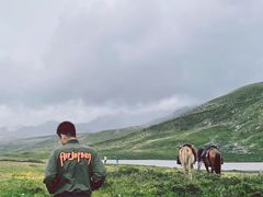 -甘孜康定机场