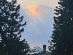 -荔湾湖公园
