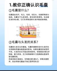 -Bollins波林丝•专研护发中心