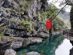 -石台牯牛降景区