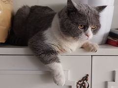 -麦当劳(金平路站店)