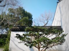 -上海醉白池公园