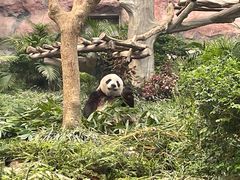 -石排湾郊野公园