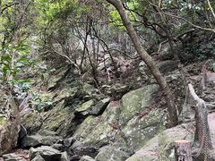 -梧桐山风景名胜区