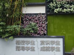 -上海市真北中学