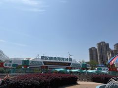 -海合安武汉极地海洋公园