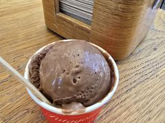 -Patagonia Chocolates(皇后镇店)