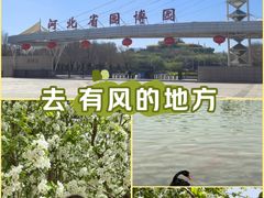 -河北省园博园