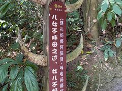 -西双版纳基诺山寨
