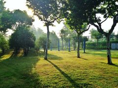 iphone_upload_pic-楚秀园