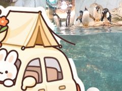 -大连圣亚海洋世界
