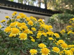 -杭州植物园