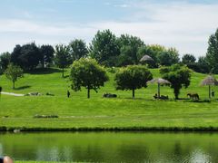 -北京野生动物园