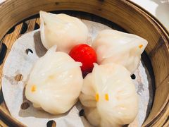 -有心德(麦地店)