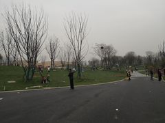 -盘龙城国家考古遗址公园