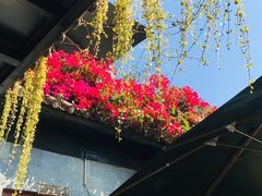 -随善园餐厅(大理店)