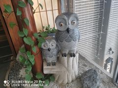-四葉寿司·城市景观(深圳湾1号店)
