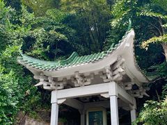-广州市白云山风景名胜区