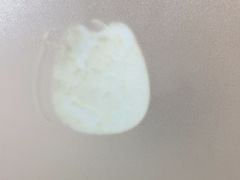 -203密室逃脱体验馆·聚会·亲子·团建(中关村店)