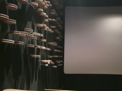 -武商摩尔影城(国广IMAX激光店)