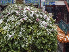 -云南古玩城(护国路店)