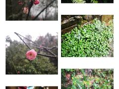 -常德桃花源景区