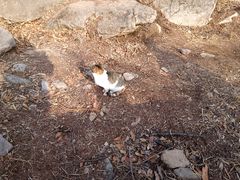 -崂山巨峰游览区