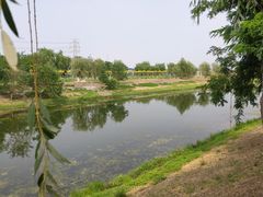 -东坝千亩湖公园