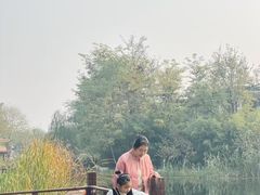 -茯茶镇