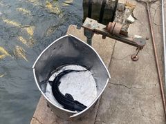 -天源渔港农庄