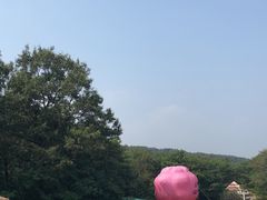 -金石滩蓝莓谷庄园