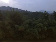 -雅安楠水阁温泉酒店