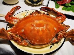 -渔民船说·北塘海鲜·天津菜·海肠捞饭(北塘古镇店)