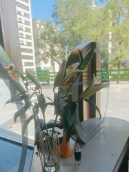 -卡尔诗·科技美肤连锁