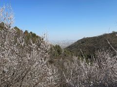 -北京西山国家森林公园