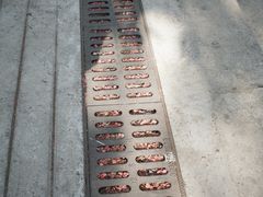 -昆明动物园