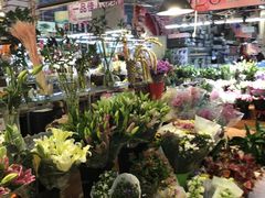 -大自然花鸟鱼虫市场