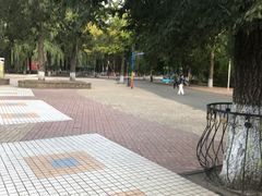 -哈尔滨文化公园