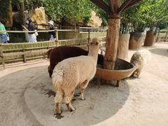 -石家庄市动物园