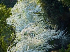 -中国茶叶博物馆(双峰馆区)